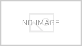 ワンピース98巻買いました 表紙の赤鞘9人が青い うのやすぶろぐ